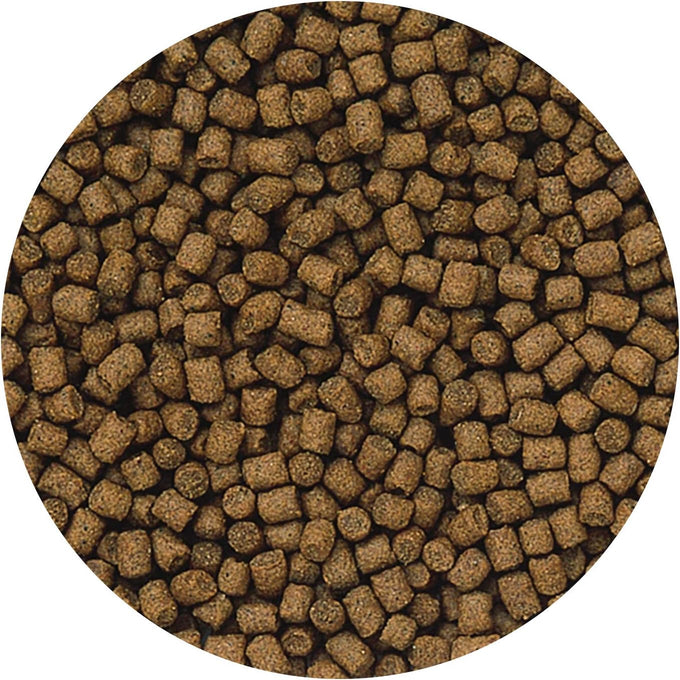 Hikari lionhead sinking pellets 12.3 ounces for fancy goldfish and lion head fish