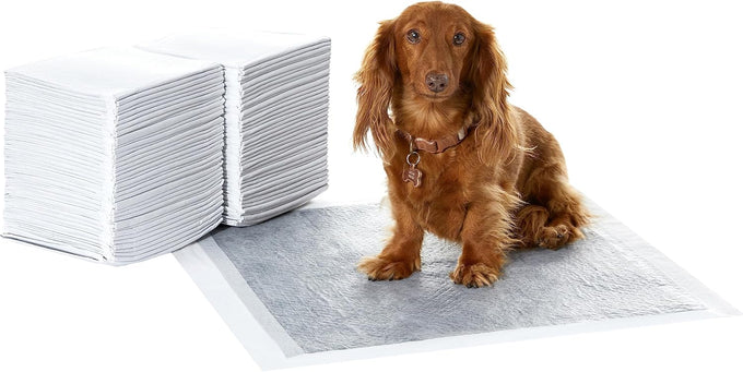 Amazon Basics 5-Layer Carbon Odor Control Dog Pee Pads, Regular Size, 22x22 Gray, 80 Count