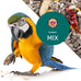 Parrot Mix 5 Lbs, Premium Parrot Food, Nutrient-Rich Blend for Energy, Growth, Digestive Health, Balanced Diet