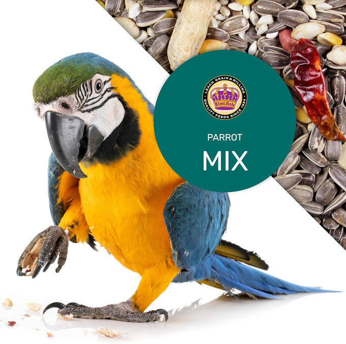 Parrot Mix 5 Lbs, Premium Parrot Food, Nutrient-Rich Blend for Energy, Growth, Digestive Health, Balanced Diet