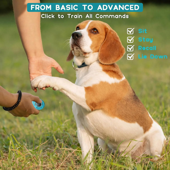 black-blue dog training clicker with adjustable wrist and keyring for pet training tools