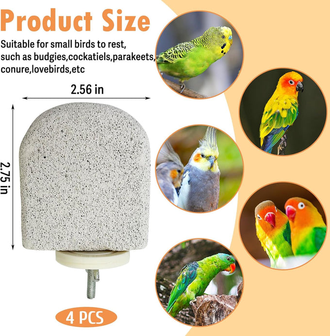 pinvnby 4-piece bird perch stands for small to medium parrots, cockatiels, lovebirds, conures, and finches