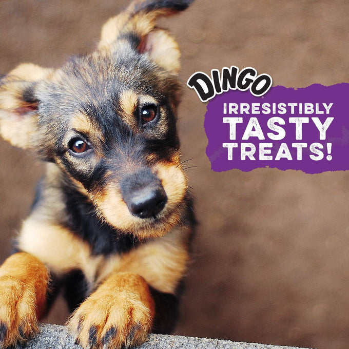 Dingo Twist Sticks Rawhide Chews for Dogs, Made with Real Chicken, 50 Count, Great for All Sizes