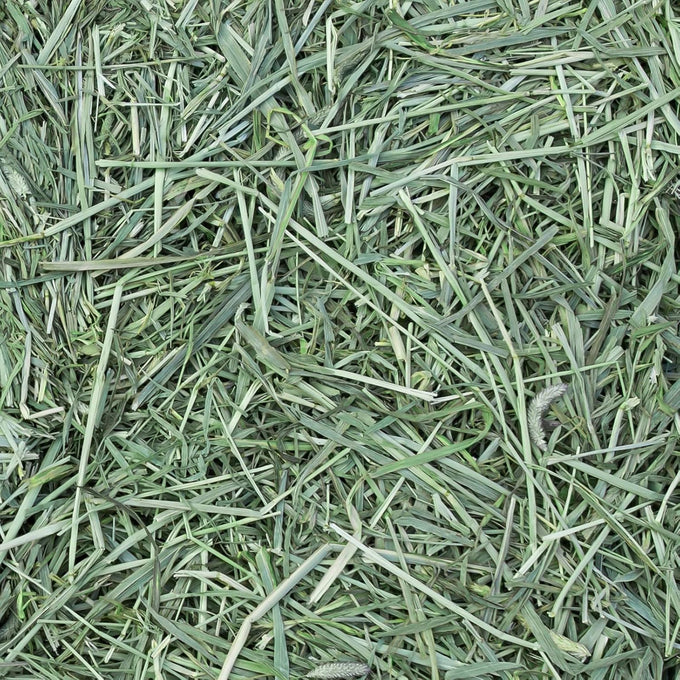 Eaton premium 1st cut western timothy hay orchard blend small animal food 6lb box sustainable eco-friendly