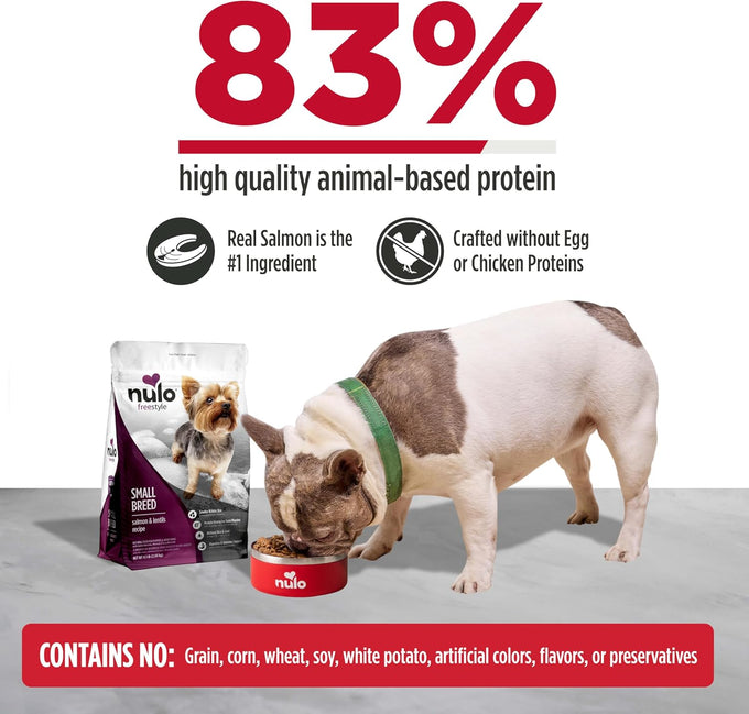 Nulo FreeStyle Small Breed Dog Food Dry - Salmon & Lentils, High Protein, Grain Free, 6lb Bag for Small Dogs