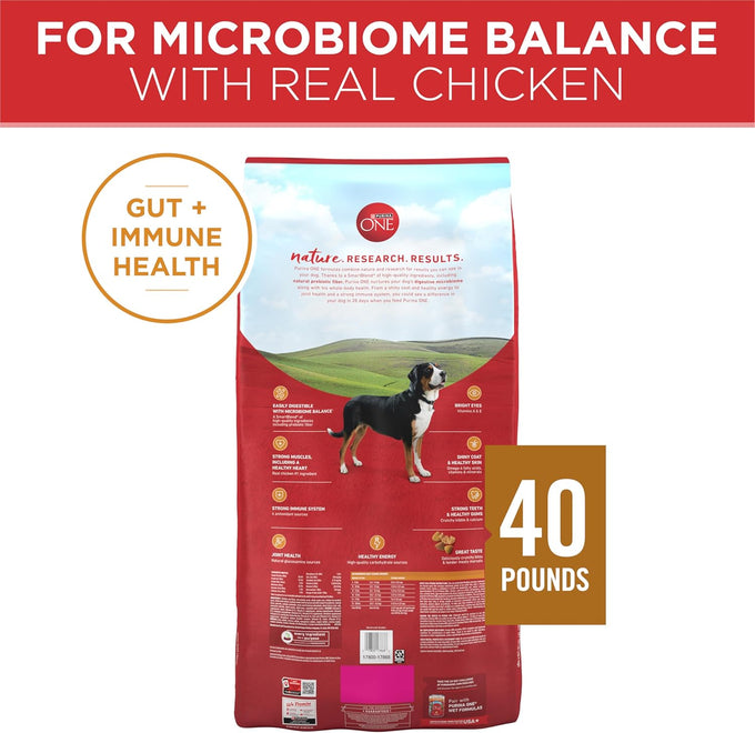 Purina ONE Chicken & Rice Dry Dog Food - 40 lb Bag
