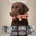 3 Pack Dog Chew Toys, Indestructible Bacon Flavor, Medium Large Dog Toys, Nylon, Realistic Branch Shapes
