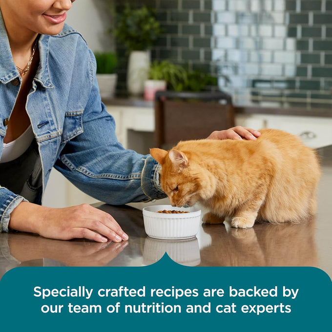 rachael ray nutrish real salmon dry cat food 14 lb bag brown rice recipe