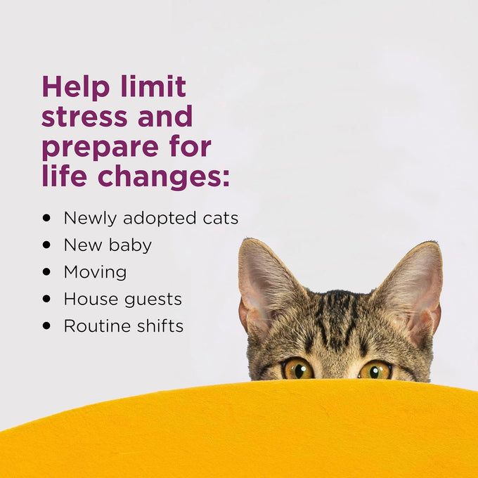 6-pack Comfort Zone cat calming pheromone refills for diffusers, 30-day refills, 180-day supply