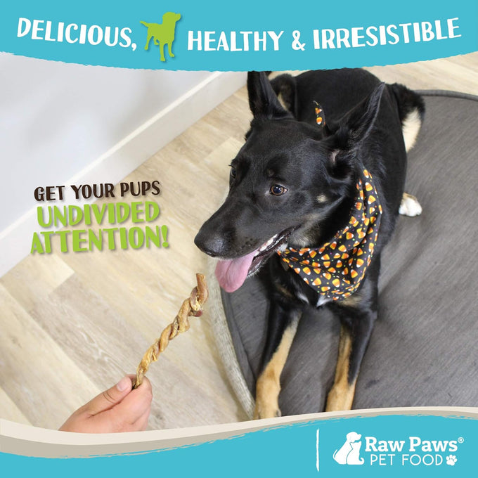 Raw Paws lamb pizzle twists for dogs, 5-9-inch, USA packed, natural lamb, free-range, and grain-free