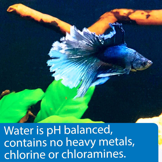 API Betta Water, 64-Ounce, Pre-Conditioned for Betta Fish Freshwater Aquariums, No Additional Treatment Needed