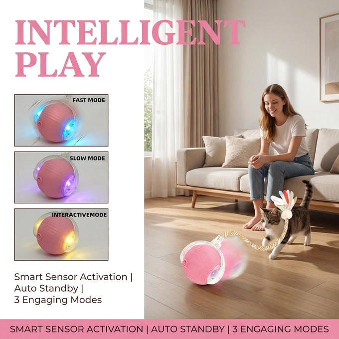 Rechargeable smart rolling cat ball with 3 modes, LED light and 3 replaceable accessories for kittens and adult cats