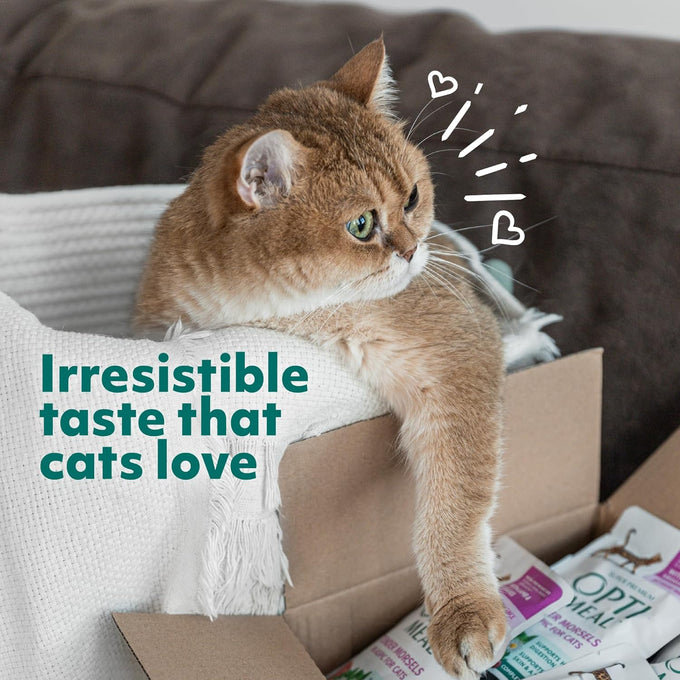 Optimeal 3oz grain free adult cat food wet pouches, high protein premium nutrition with natural European ingredients in savory gravy, pack of 12