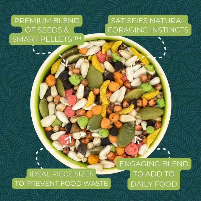 ZuPreem Sensible Seed bird food blend for medium birds, 2 lbs, made in USA, (M)