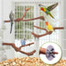 3PCS bird perch grape stick natural 100% safe non-toxic wild grapevine budgies cockatiels lovebirds