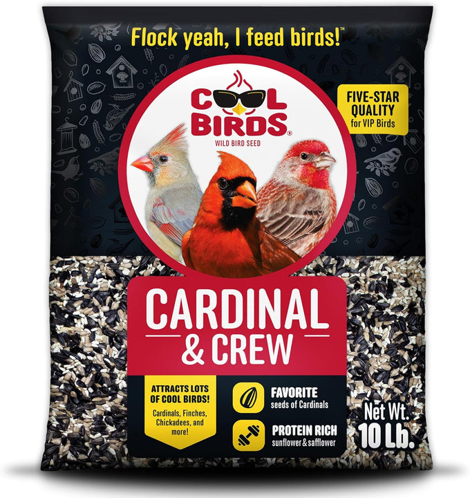 Cool Birds Cardinal & Crew 10 lb Black Oil Sunflower Blend for Cardinals, Grosbeaks & Chickadees Bird Food