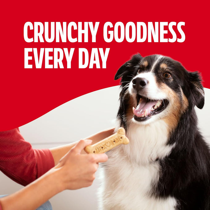 Milk-Bone Original Dog Treats Biscuits for Large Dogs, 10 Pounds, Crunchy, 15% Protein, USA Made
