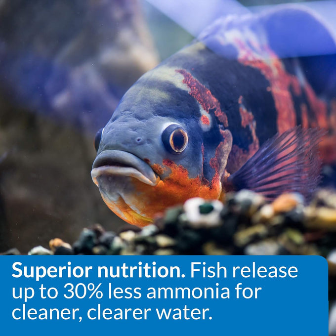API CICHLID LARGE PELLETS 7.1-Ounce Floating Fish Food for Large Cichlids, Natural Ingredients, 5 Inch Plus