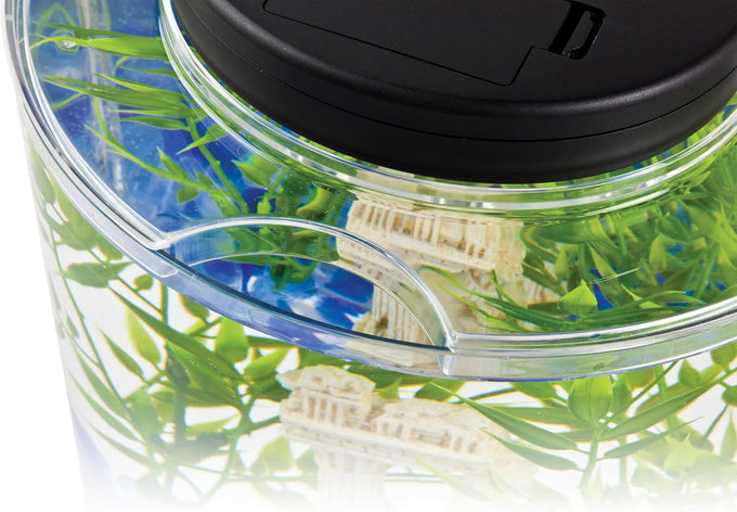 Tetra LED half moon aquarium kit with clear plastic fish tank ideal for betta fish care, small, 1.1 gallons, energy-efficient LED lighting