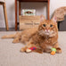 SmartyKat Instincts 2-Pack HappyNip Love Mates Feather Birds Plush Cat Toys Orange/Green