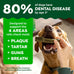 greenies veterinarian-recommended adult natural dog dental treats teenie size