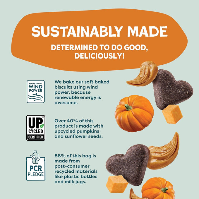 Shameless Pets Soft-Baked Pumpkin Nut Partay Dog Treats, 1 Pound, Grain-Free, USA Made, 6oz Pack