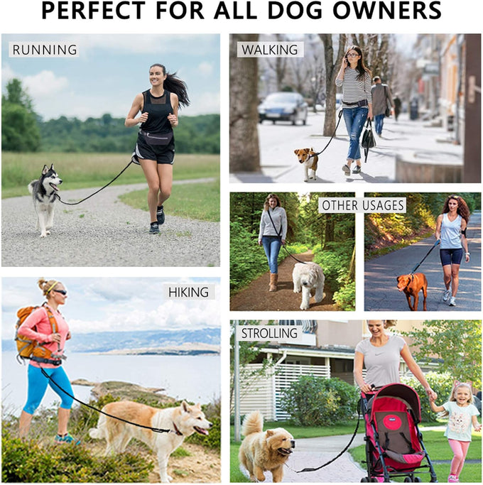 Lanney Hands-Free Dog Leash for Medium Large Dogs with Zipper Dual Handle and Retractable Bungee