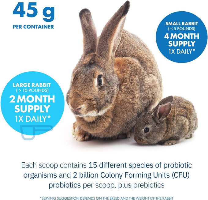 HealthyGut Probiotics for Rabbits 120 servings all-natural digestive system formula with 15 species of probiotic organisms