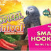 F.M. Brown's Tropical Carnival 5 lb Gourmet Bird Food for Parrots, African Greys, and Conures with Probiotics and Vitamin-Nutrient Fortification