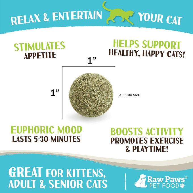 raw paws catnip balls 6-count interactive cat toys for indoor cats catnip licking balls natural all-natural catnip no artificial ingredients