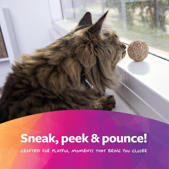 SmartyKat Catnip Kiss Compressed Cat Toy Ball for Mess-Free Play, Concentrated Catnip Power for Cats & Kittens, One Size
