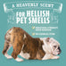 Angry Orange Pet Odor Eliminator - 24 oz Orange Rush Scent, Citrus Cleaner for Dog and Cat Urine Stains