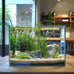 Vimvins 3 gallon frameless glass fish tank for betta, goldfish, snails, shrimp and aquatic planting