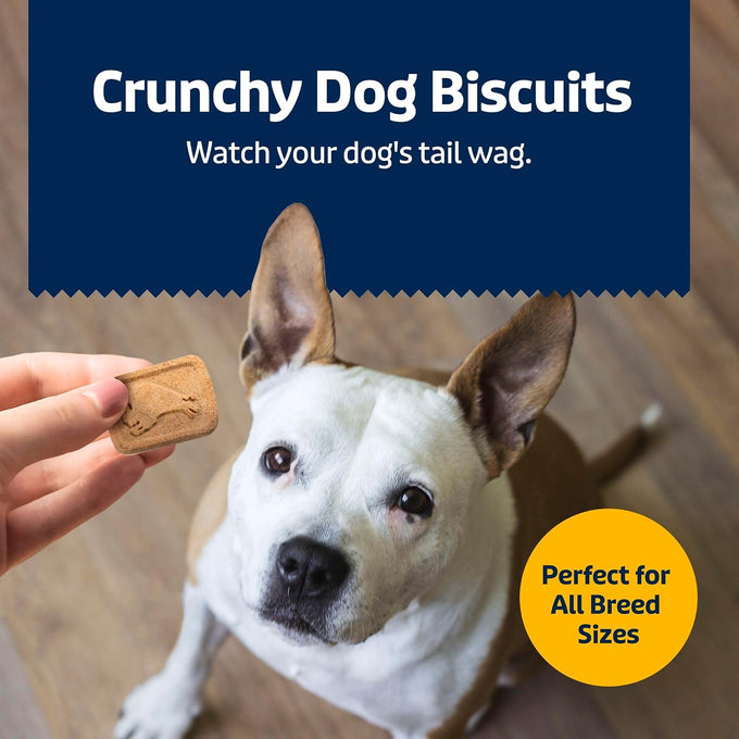 Blue Buffalo Oven-Baked Banana & Yogurt Dog Treats, Crunchy Biscuits, 16-Ounce Bag