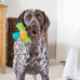 Outward Hound Triple Jack Interactive Multi-Squeak Dog Toy with Colorful Textures for Indoor and Outdoor Play