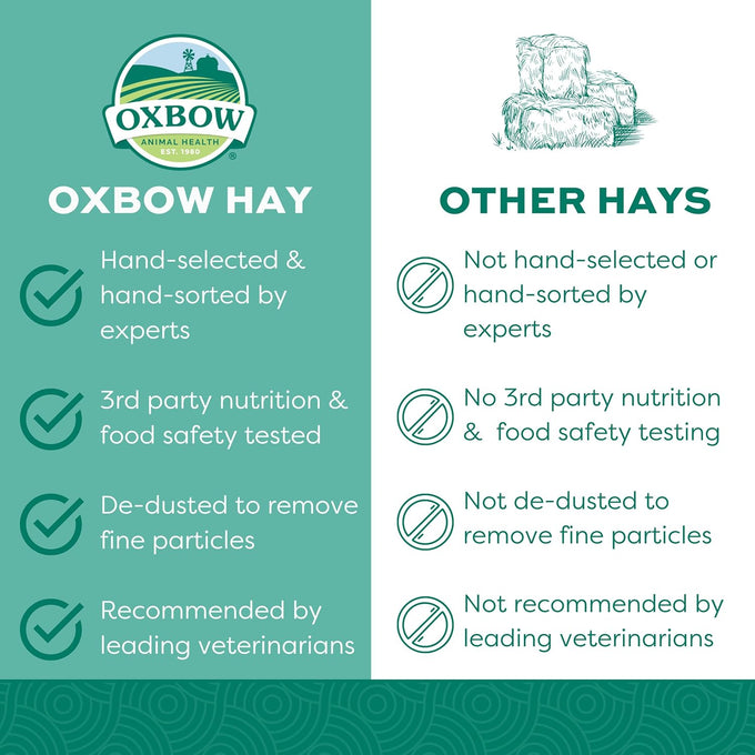 Oxbow Western Timothy Hay for Small Pets - High Fiber for Digestive Health and Dental Support - 40 oz Bag - All-Natural Grass Hay for Rabbits Guinea Pigs Chinchillas