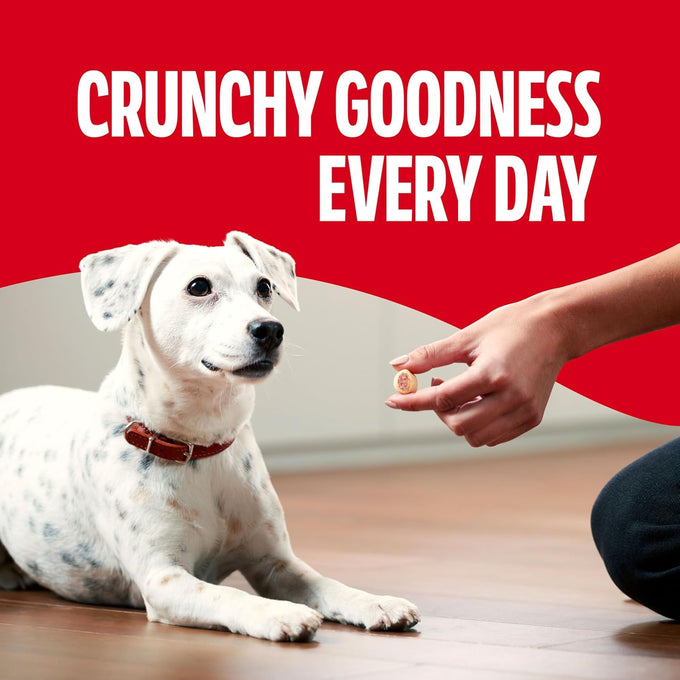 Milk-Bone MaroSnacks Small Dog Treats with Real Bone Marrow, 40 Oz Canister, Crunchy Outside, 10 Calories Each