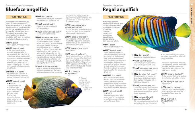 What Saltwater Fish: A Comprehensive Guide for Aquarium Enthusiasts, March 10, 2023, Paperback