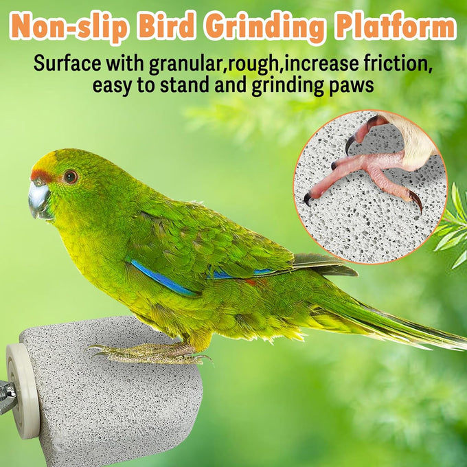 pinvnby 4-piece bird perch stands for small to medium parrots, cockatiels, lovebirds, conures, and finches