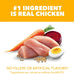 iams-proactive-health-large-breed-puppy-food-for-large-dogs-with-real-chicken-30-6-lb-bag