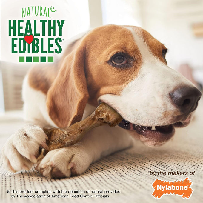 Nylabone Healthy Edibles, Natural Bison Flavor Dog Chews, Long Lasting Bones for Dogs, Medium (2 Count)