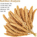 amzey 5.5lb non-gmo natural sun-dried spray millet for parakeets and parrots