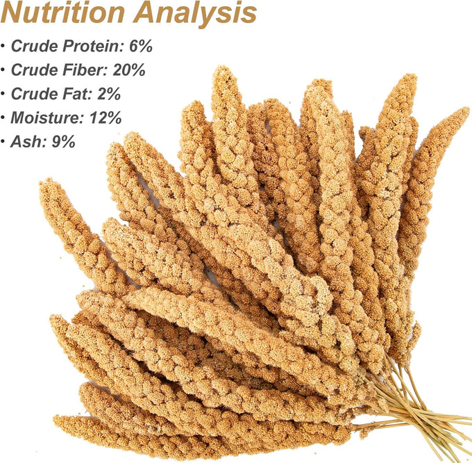 amzey 5.5lb non-gmo natural sun-dried spray millet for parakeets and parrots