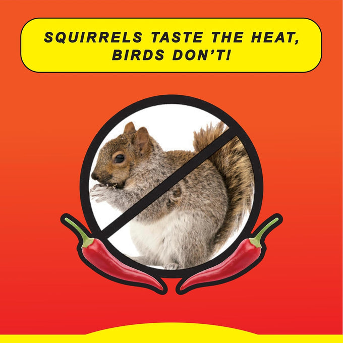 Wild Delight Sizzle N' Heat Bird Food, 5 lb, hot blend, squirrel deterrent, manual power