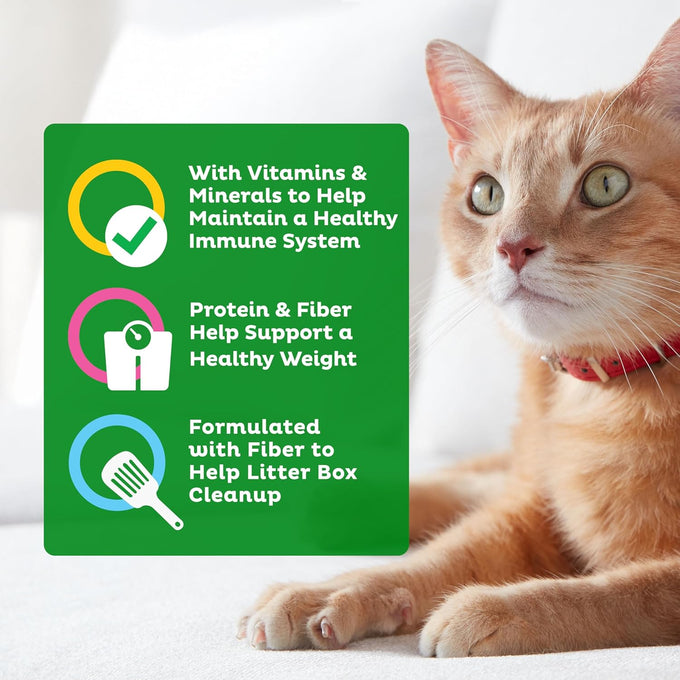 9Lives Indoor 20 lb Complete Dry Chicken & Salmon Cat Food - Lean Protein, Fiber, Vitamins, Minerals