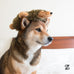ZippyPaws Loopy No Stuffing Dog Toy for Small, Medium, & Large Dogs, Squeaky Pet Toy for Boredom, Soft Plush Puppy Products, Hedgehog Design
