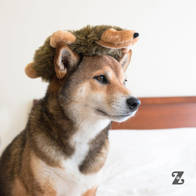 ZippyPaws Loopy No Stuffing Dog Toy for Small, Medium, & Large Dogs, Squeaky Pet Toy for Boredom, Soft Plush Puppy Products, Hedgehog Design