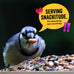 Cool Birds 10 lb. Gourmet Bird Seed with Sunflower Hearts, Peanuts & Real Fruit for Outside Feeders