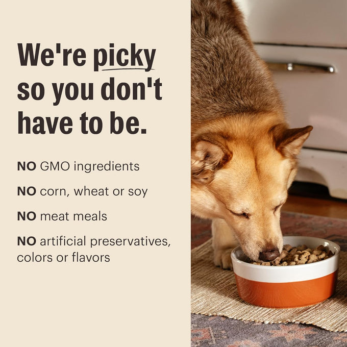 The Honest Kitchen Human Grade Protein Plus+ Chicken Dry Dog Food