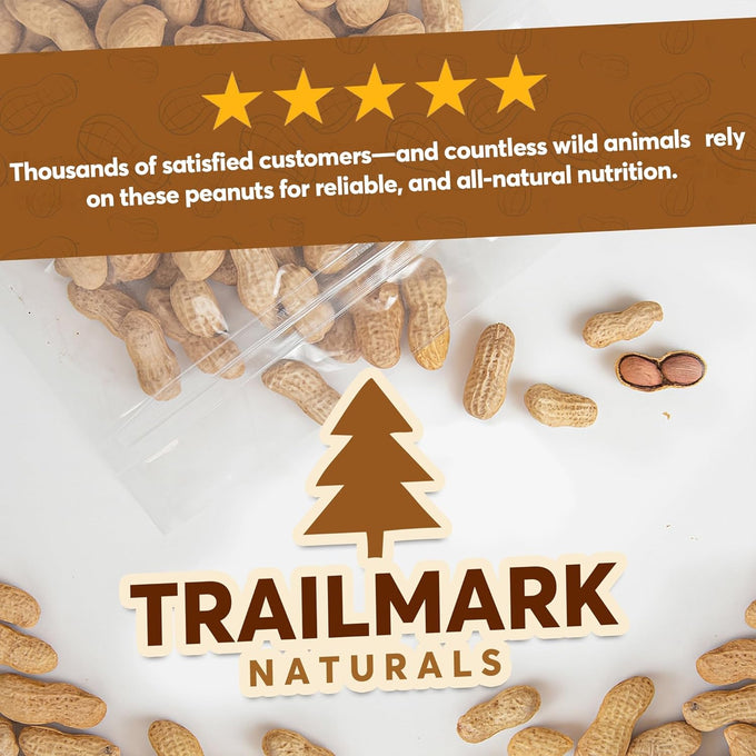 Raw Peanuts in Shell, 2 Pack, 5 Lb Bags, Grown in USA, Squirrel Food, Wild Bird Seed